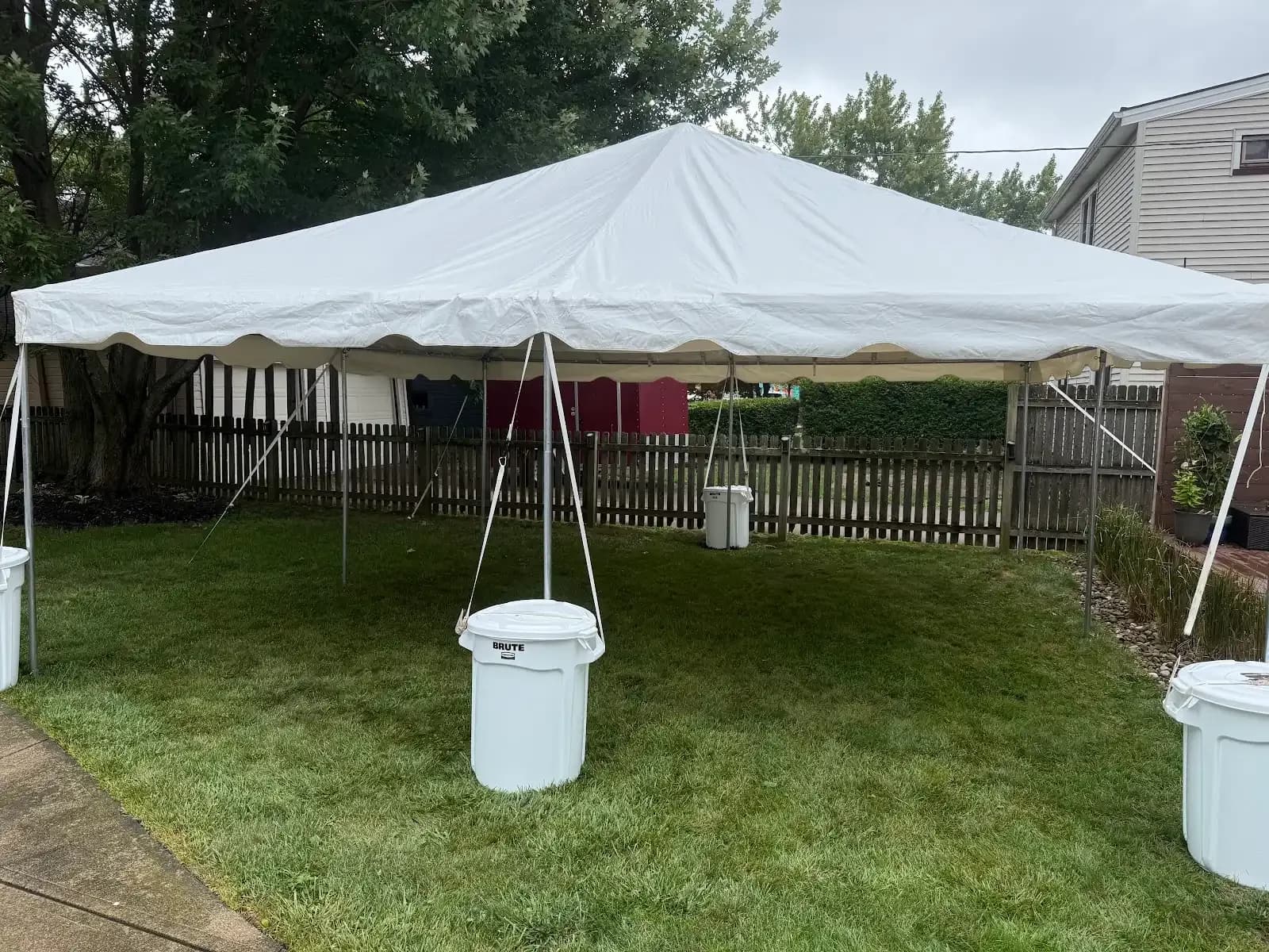 Tent setup along the garden fence in Lakewood, a Shoreline project