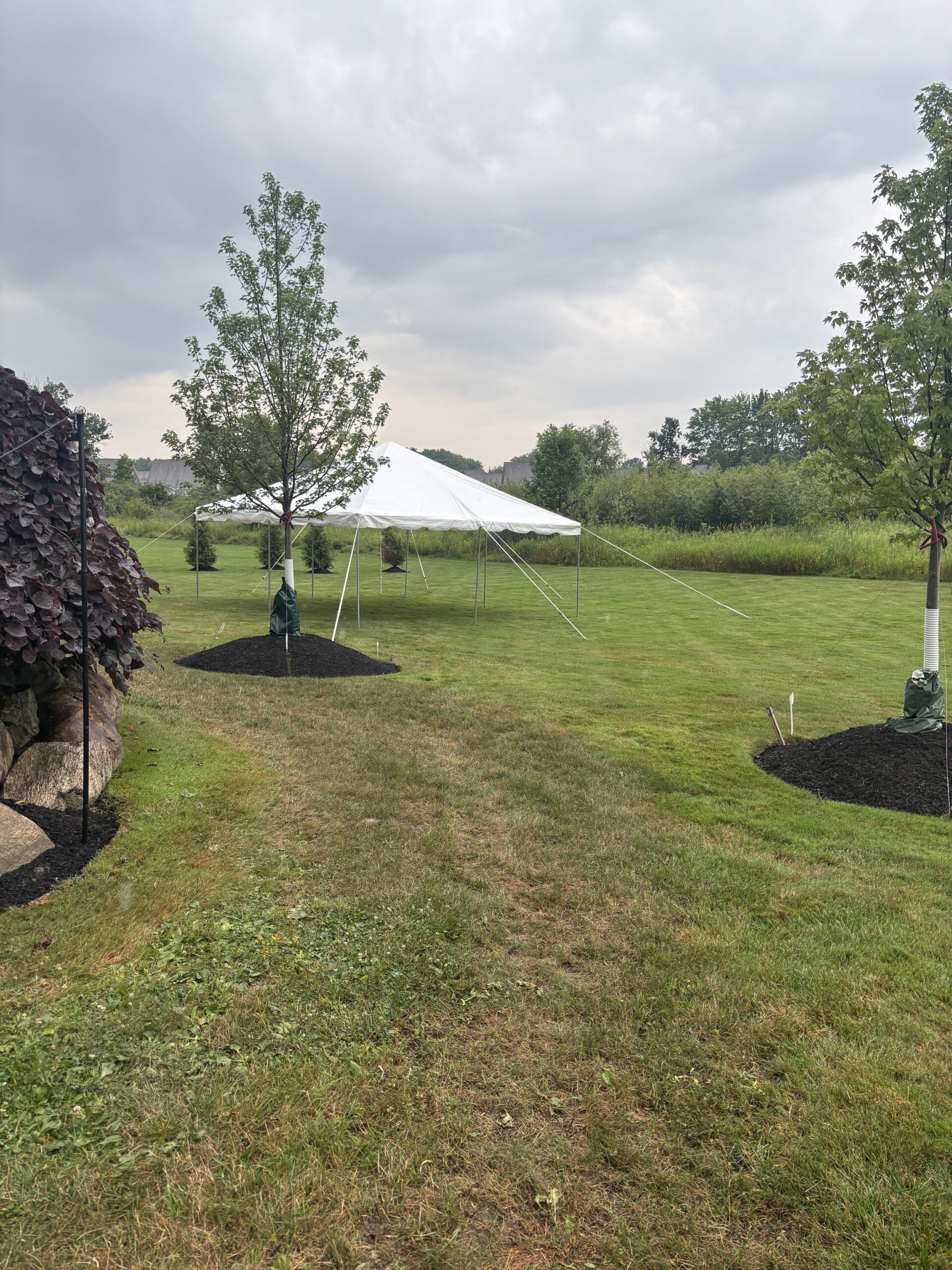 IMAGE OF A TENT OUTDOORS